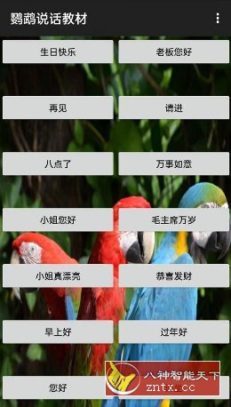 鹦鹉说话教材1.0.6-就去找资源网