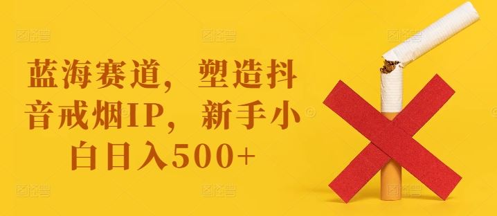 蓝海赛道，塑造抖音戒烟IP，新手小白日入500+【揭秘】-就去找资源网