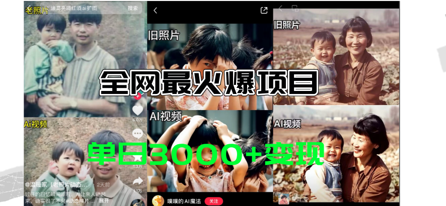 (11546期)全网爆火的AI让老照片动起来教程,蹭热点日赚3000+,内含免费工具一键…-就去找资源网
