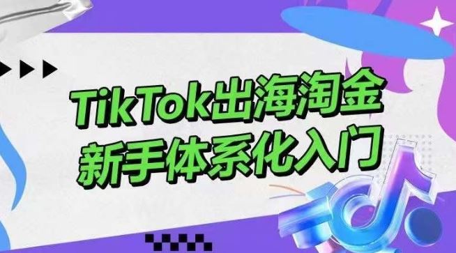 TikTok出海淘金,新手体系化入门,零基础快速入门,掌握短视频、直播带货等引流到变现的知识-就去找资源网