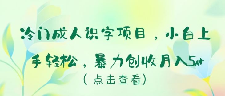 冷门成人识字项目,小白上手轻松,暴力创收月入5w+【揭秘】-就去找资源网