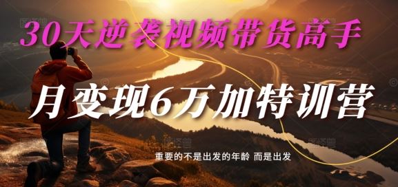 30天逆袭视频带货高手，单月变现6万加特训营-麦子甜-就去找资源网