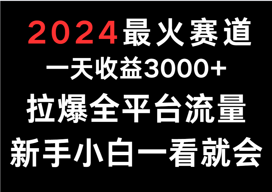 2024最火赛道,一天收一3000+.拉爆全平台流量,新手小白一看就会-就去找资源网