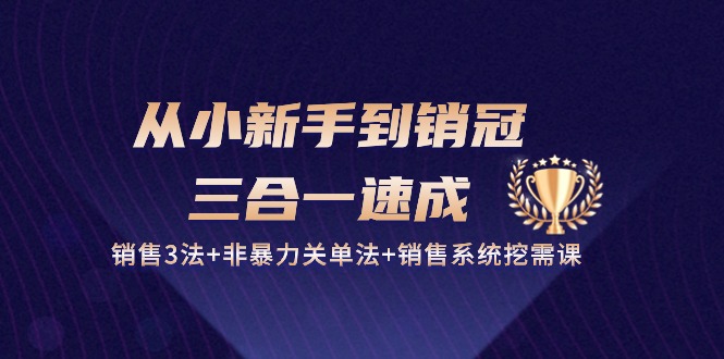 从小新手到销冠三合一速成:销售3法+非暴力关单法+销售系统挖需课 (27节)-就去找资源网