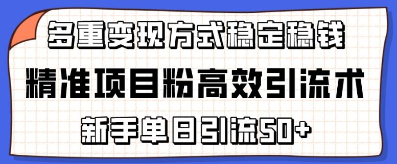 精准项目粉高效引流术,新手单日引流50+,多重变现方式稳定赚钱【揭秘】-就去找资源网
