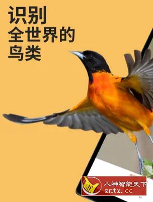Picture Bird 拍照识鸟2.9.28高级版-就去找资源网
