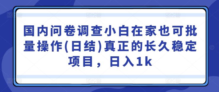 国内问卷调查小白在家也可批量操作(日结)真正的长久稳定项目,日入1k【揭秘】-就去找资源网