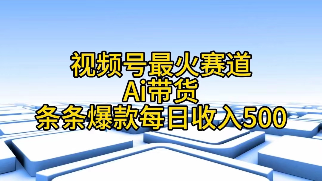 (11038期)视频号最火赛道——Ai带货条条爆款每日收入500-就去找资源网