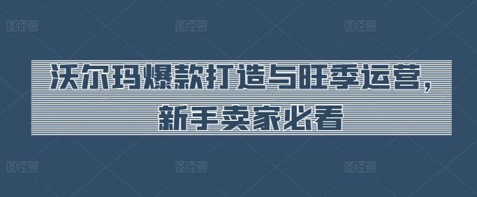 沃尔玛爆款打造与旺季运营,新手卖家必看-就去找资源网