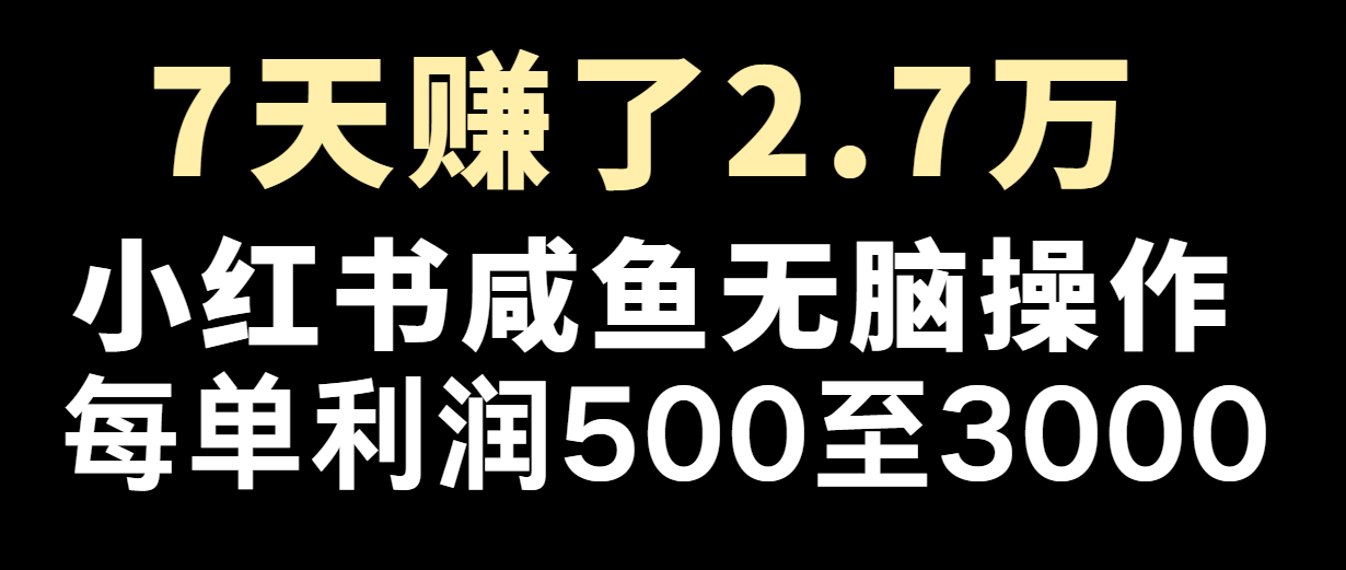 七天赚了2.7万！每单利润最少500+，轻松月入5万+小白有手就行-就去找资源网