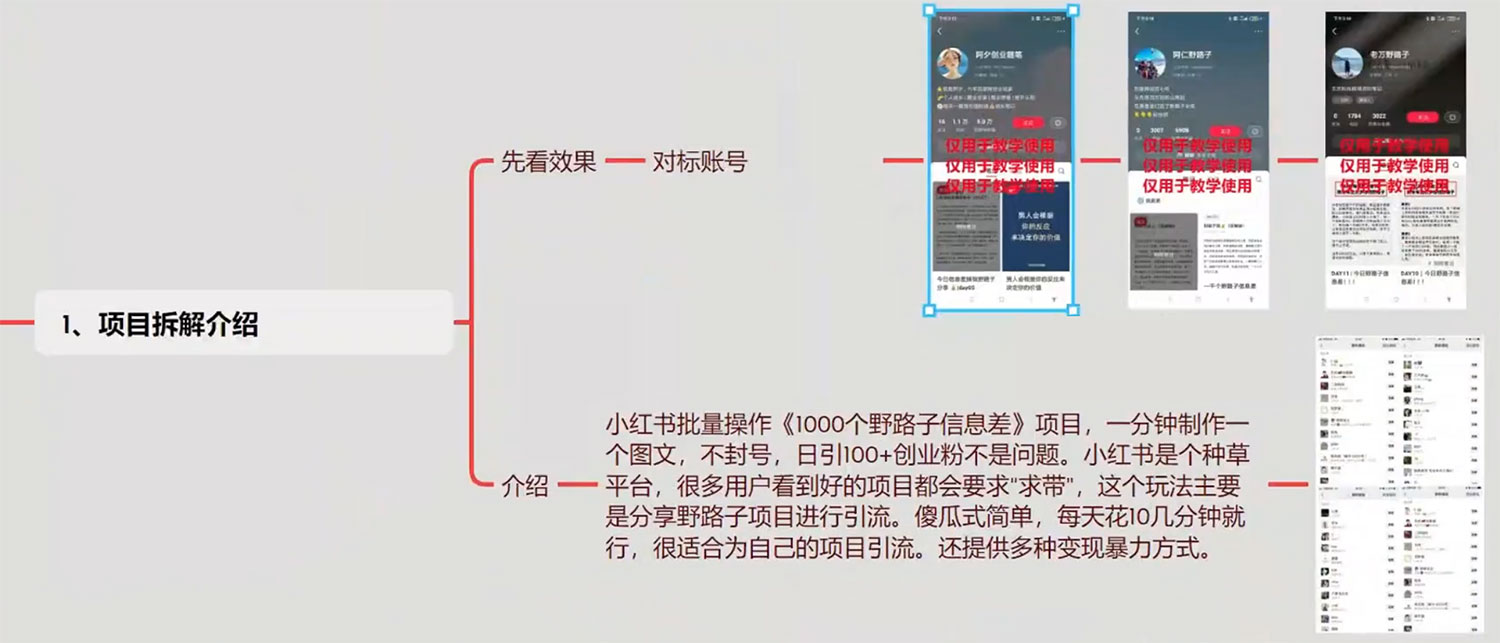 小红书批量操作《 1000 个野路子信息差》玩法，日引 100+ 创业粉，一分钟一个图文