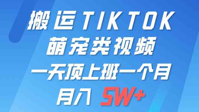 (9931期)一键搬运TIKTOK萌宠类视频 一部手机即可操作 所有平台均可发布 轻松月入5W+-就去找资源网