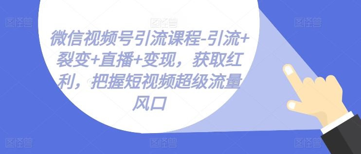 微信视频号引流课程-引流+裂变+直播+变现，获取红利，把握短视频超级流量风口-就去找资源网