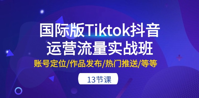(10712期)国际版Tiktok抖音运营流量实战班:账号定位/作品发布/热门推送/等等-13节-就去找资源网