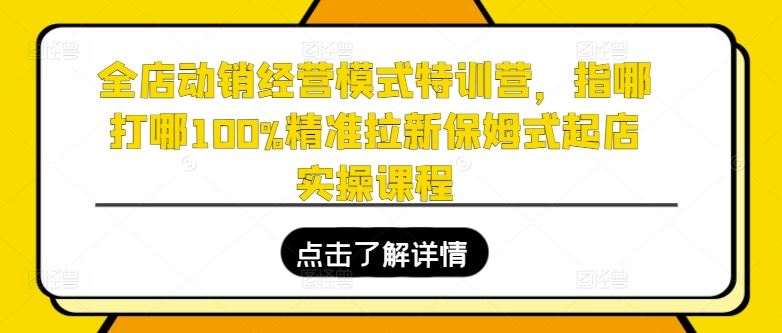 全店动销经营模式特训营,指哪打哪100%精准拉新保姆式起店实操课程-就去找资源网