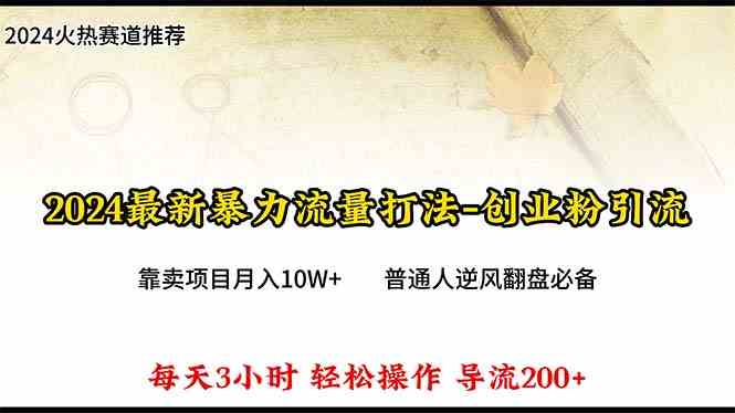 （10151期）2024年最新暴力流量打法，每日导入300+，靠卖项目月入10W+-就去找资源网