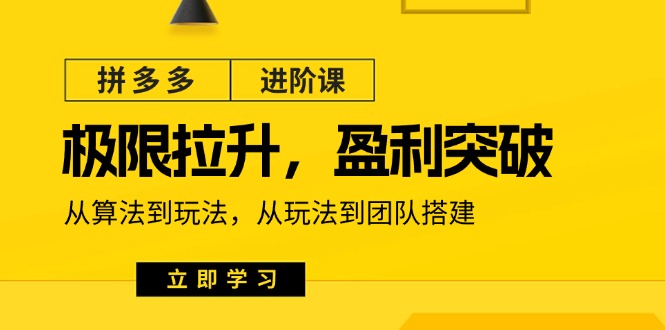 （11435期）拼多多·进阶课：极限拉升/盈利突破：从算法到玩法 从玩法到团队搭建-18节-就去找资源网