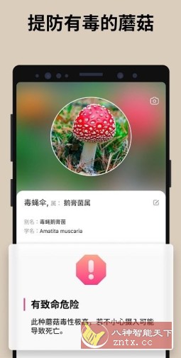 Picture Mushroom 蘑菇识别v2.9.23高级版-就去找资源网