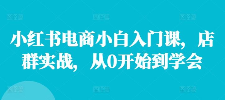 小红书电商小白入门课，店群实战，从0开始到学会-就去找资源网