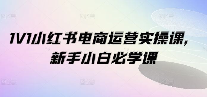 1V1小红书电商运营实操课,新手小白必学课-就去找资源网