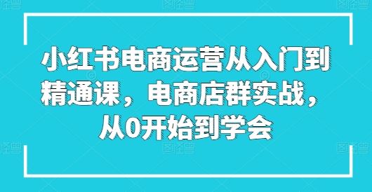 小红书电商运营从入门到精通课,电商店群实战,从0开始到学会-就去找资源网