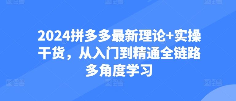 2024拼多多最新理论+实操干货,从入门到精通全链路多角度学习-就去找资源网