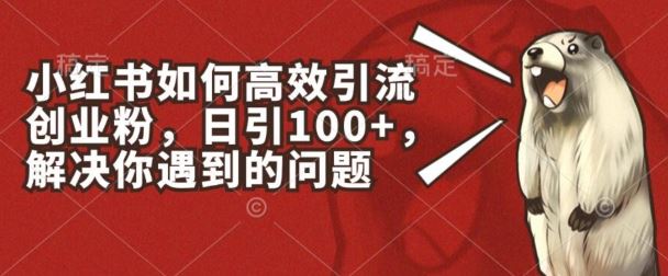 小红书如何高效引流创业粉，日引100+，解决你遇到的问题【揭秘】-就去找资源网