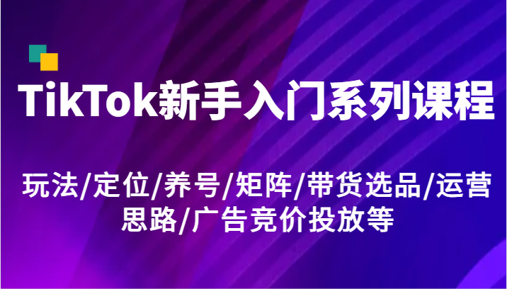 TikTok新手入门系列课程，玩法/定位/养号/矩阵/带货选品/运营思路/广告竞价投放等-就去找资源网