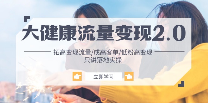 (10871期)大健康 流量 变现2.0:拓高变现 流量/成高客单/低粉高变现/只讲落地实战-就去找资源网