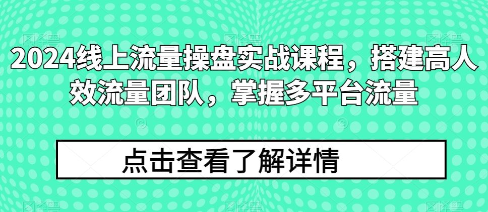 2024线上流量操盘实战课程,搭建高人效流量团队,掌握多平台流量-就去找资源网