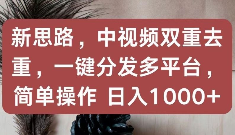 新思路，中视频双重去重，一键分发多平台，简单操作，日入1000+【揭秘】-就去找资源网