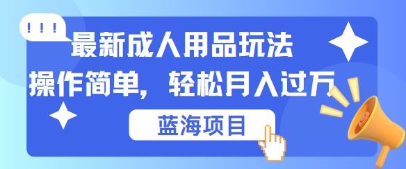 最新成人用品项目玩法,操作简单,动动手,轻松日入几张【揭秘】-就去找资源网