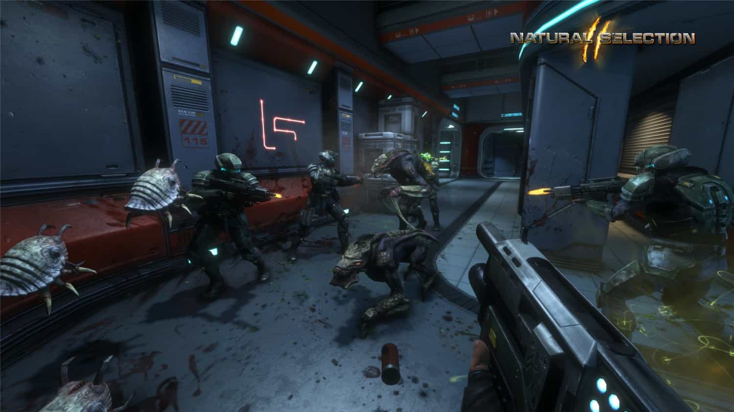 《物竞天择2》Build.344原版英文-就去找资源网