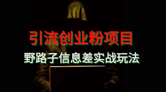 野路子信息差玩法实战教学,引流创业粉-就去找资源网