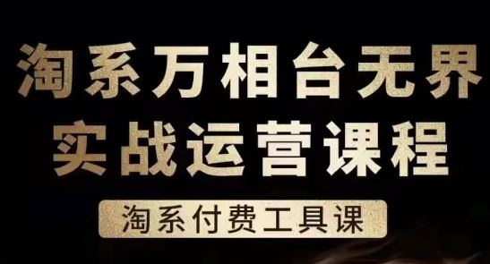 淘系万相台无界实战运营课,淘系付费工具课-就去找资源网
