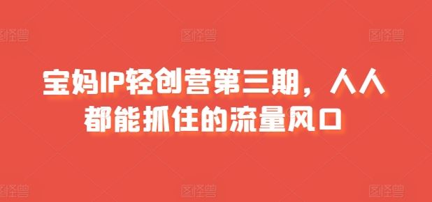 宝妈IP轻创营第三期，人人都能抓住的流量风口-就去找资源网