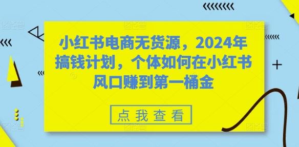 小红书电商无货源，2024年搞钱计划，个体如何在小红书风口赚到第一桶金-就去找资源网