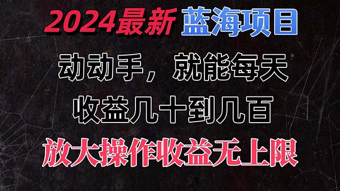 （11470期）有手就行的2024全新蓝海项目，每天1小时收益几十到几百，可放大操作收…-就去找资源网