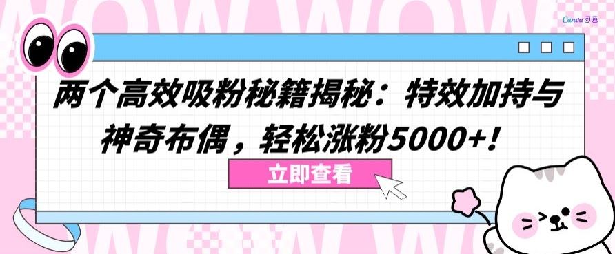 两个高效吸粉秘籍揭秘：特效加持与神奇布偶，轻松涨粉5000+【揭秘】-就去找资源网