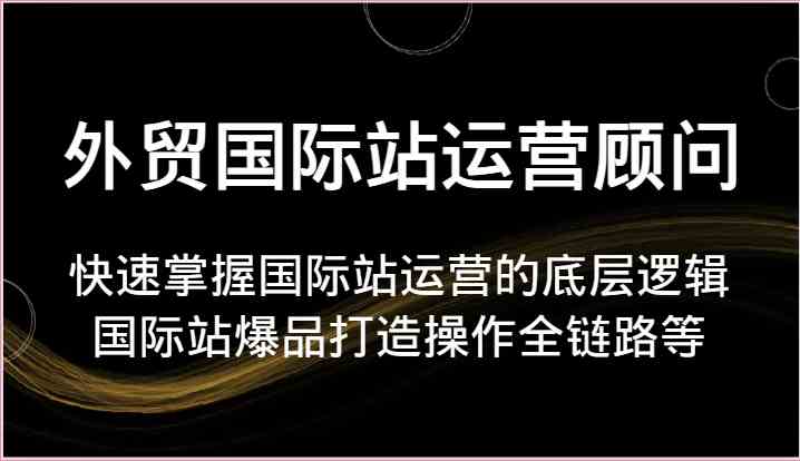 外贸国际站运营顾问-快速掌握国际站运营的底层逻辑,国际站爆品打造操作全链路等-就去找资源网