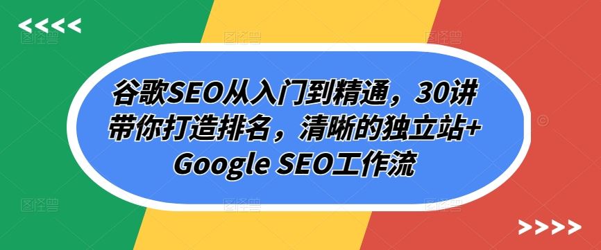 谷歌SEO从入门到精通，30讲带你打造排名，清晰的独立站+Google SEO工作流-就去找资源网