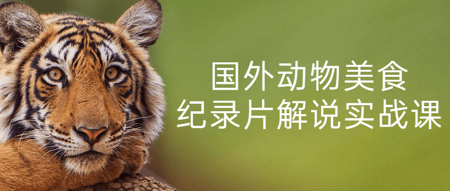 国外动物美食纪录片解说实战课-就去找资源网