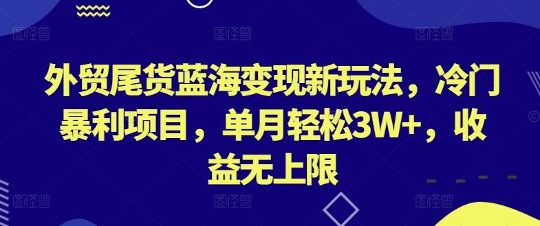 外贸尾货蓝海变现新玩法,冷门暴利项目,单月轻松3W+,收益无上限【揭秘】-就去找资源网