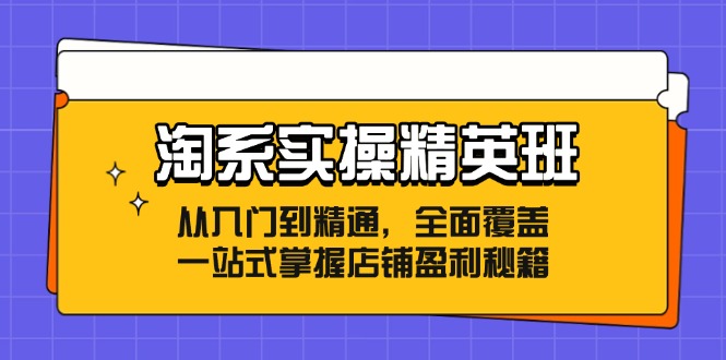 （12276期）淘系实操精英班：从入门到精通，全面覆盖，一站式掌握店铺盈利秘籍-就去找资源网