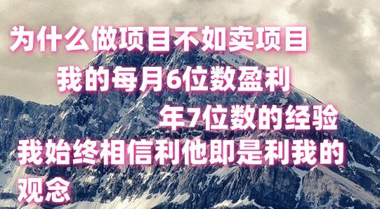做项目不如卖项目,每月6位数盈利,年7位数经验-就去找资源网