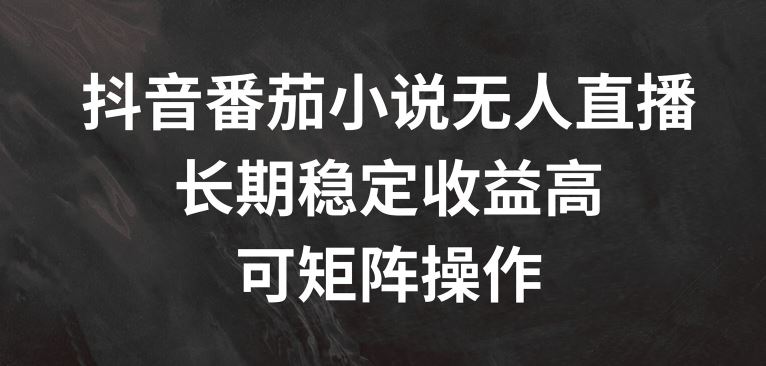 抖音番茄小说无人直播,长期稳定收益高,可矩阵操作【揭秘】