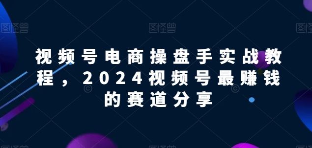 视频号电商实战教程,2024视频号最赚钱的赛道分享-就去找资源网