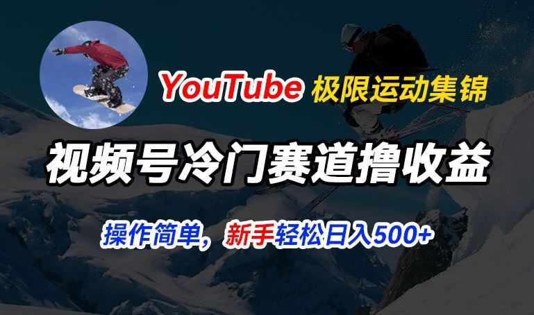 视频号冷门赛道撸收益,YouTube搬运极限运动集锦,暴力起号,操作简单流量高,轻松日入5张【揭秘】-就去找资源网