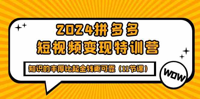 （9817期）2024拼多多短视频变现特训营，知识的丰厚比起金钱更可靠（11节课）-就去找资源网