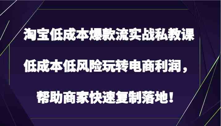 淘宝低成本爆款流实战私教课，低成本低风险玩转电商利润，帮助商家快速复制落地！-就去找资源网